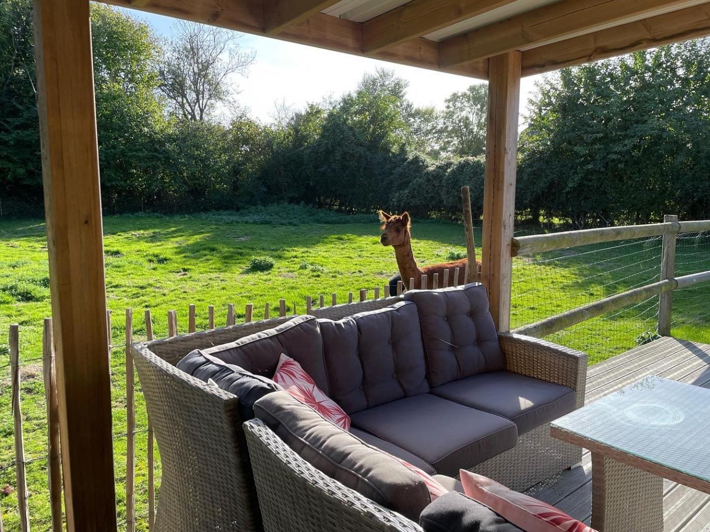 Aux Murmures De La Nature B&B Honfleur Eksteriør billede