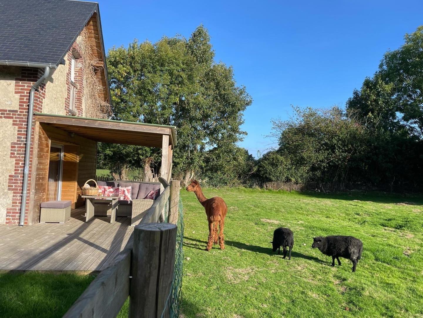 Aux Murmures De La Nature B&B Honfleur Eksteriør billede